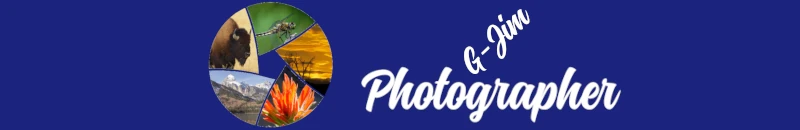 GJim Logo
