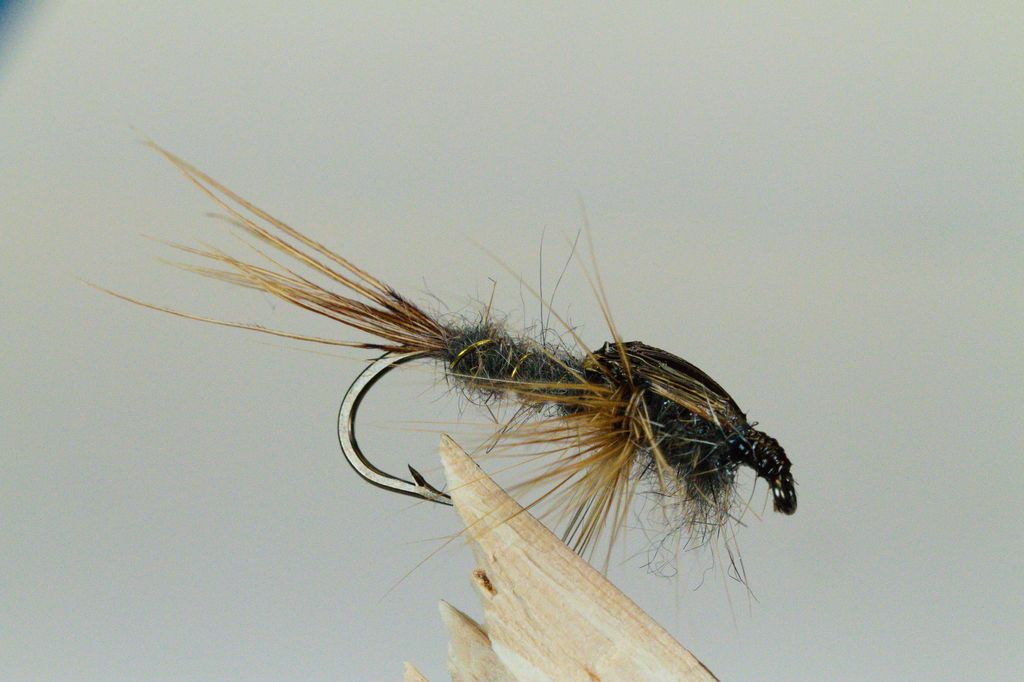 nymph fly