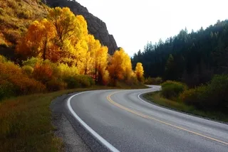 Autumn Foliage along a highway in Eastern Idaho