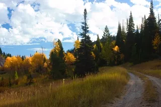 Autumn colors along a winding road in Eastern Idaho