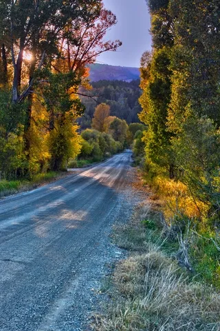 Autumn Foliage along a Wyoming road