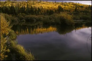 Autumn colors on a beaver pond, South Pass, Wyoming