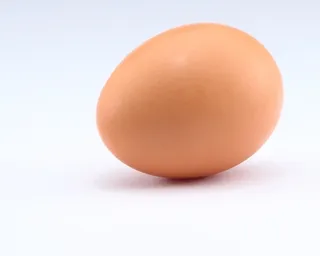 Raw egg on white background