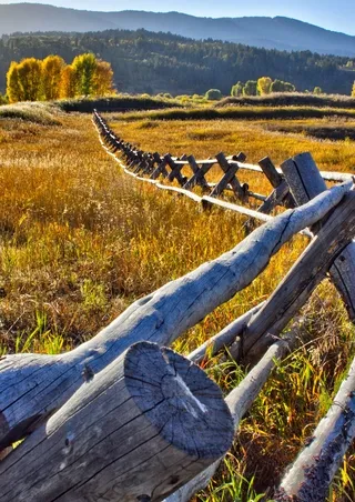 Buck and Rail Fence