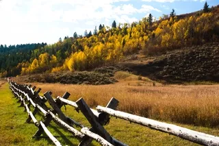 Buck and Rail fence in Idaho
