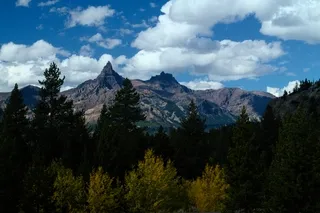 Pilot and Index Peaks