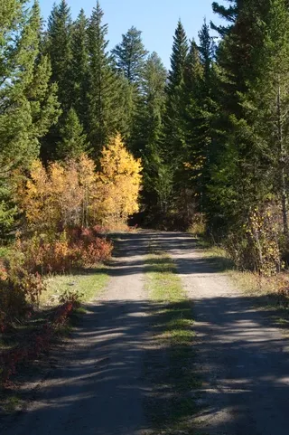 Autumn view Chief Joseph Highway