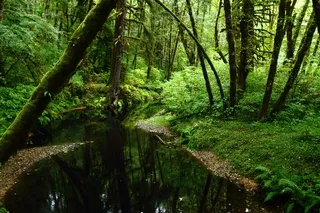 Walker Creek Oregon